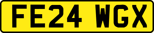 FE24WGX