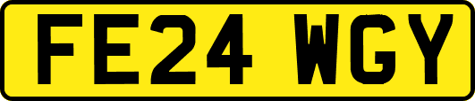 FE24WGY