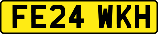 FE24WKH