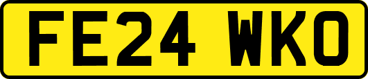 FE24WKO