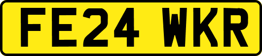 FE24WKR