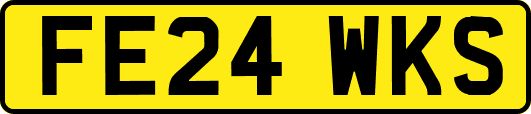 FE24WKS
