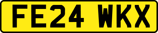 FE24WKX