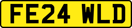 FE24WLD