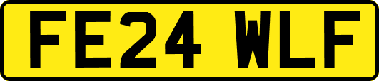 FE24WLF