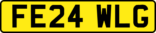 FE24WLG