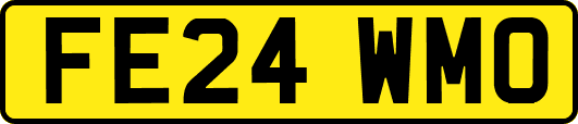 FE24WMO