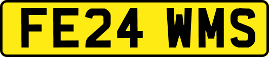 FE24WMS