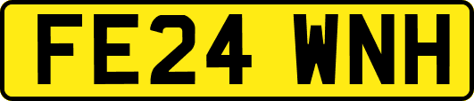 FE24WNH
