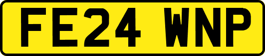 FE24WNP