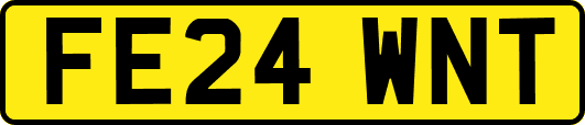FE24WNT