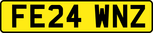 FE24WNZ