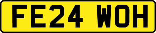 FE24WOH