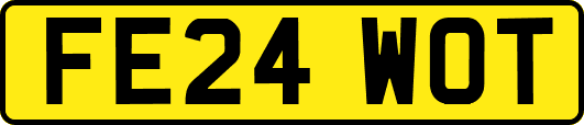 FE24WOT