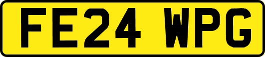 FE24WPG