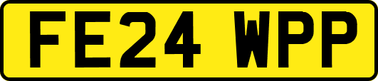 FE24WPP