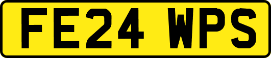 FE24WPS