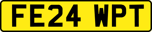 FE24WPT
