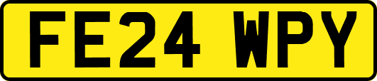 FE24WPY