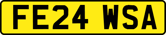 FE24WSA