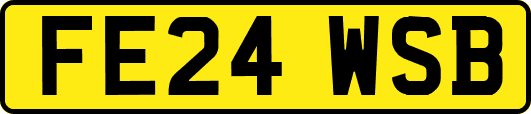 FE24WSB