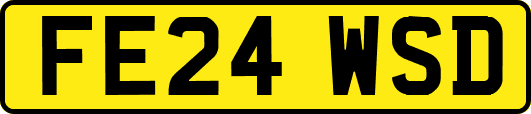 FE24WSD