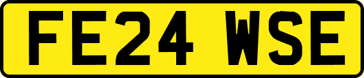 FE24WSE