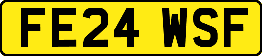 FE24WSF