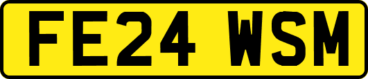 FE24WSM