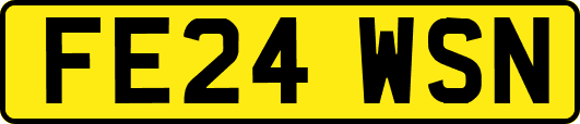 FE24WSN