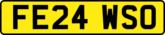 FE24WSO