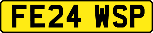 FE24WSP