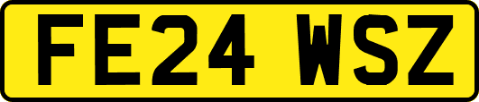 FE24WSZ
