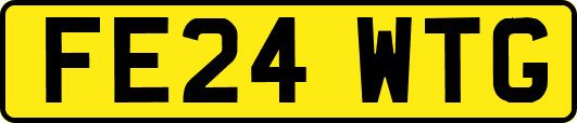 FE24WTG
