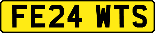 FE24WTS