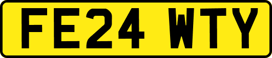 FE24WTY