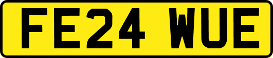 FE24WUE