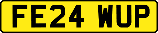 FE24WUP