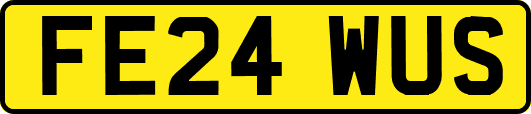 FE24WUS