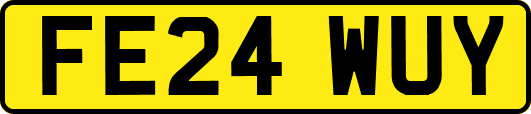 FE24WUY