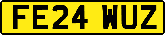 FE24WUZ
