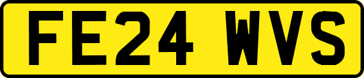 FE24WVS