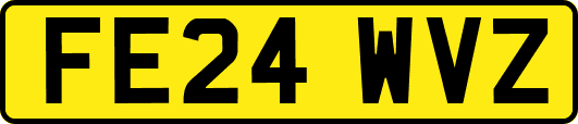 FE24WVZ