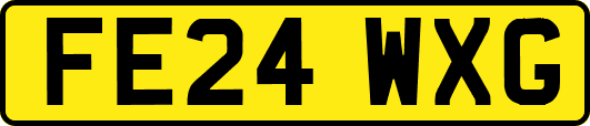 FE24WXG