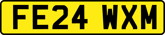 FE24WXM