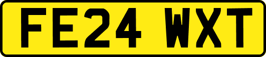 FE24WXT
