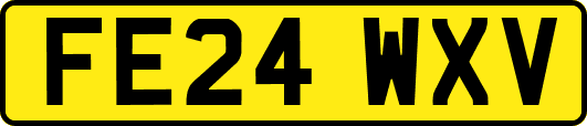 FE24WXV