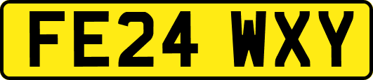 FE24WXY