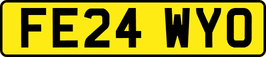 FE24WYO