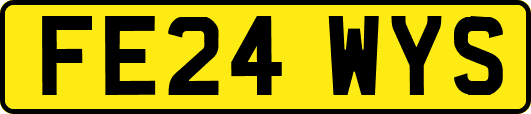 FE24WYS